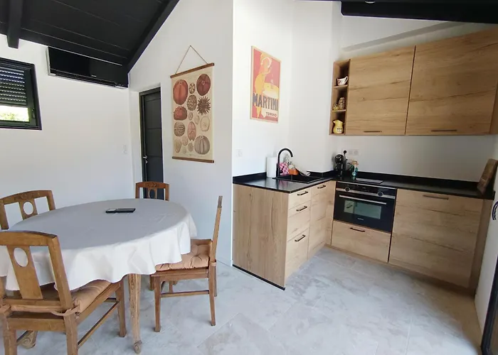 Vakantiehuis Jardin D'ete Swannel Andernos-les-Bains